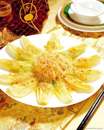 大白菜小白菜娃娃菜 哪个最好？