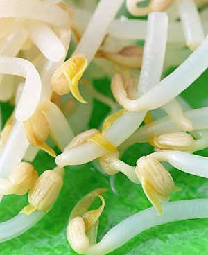14种可能引起死亡的常见食物