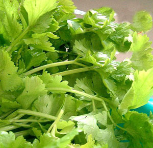 调节体液平衡的三大平价食物