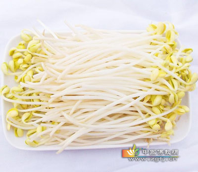 小小豆芽功劳大