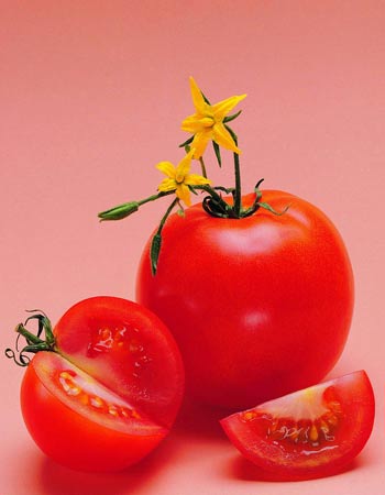 生活中护肝的10种蔬菜