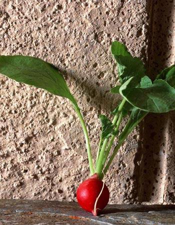 生活中护肝的10种蔬菜