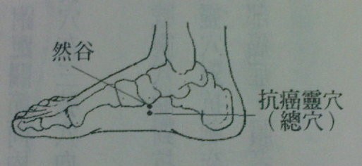 抗癌灵穴1.jpg