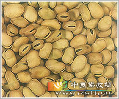 product_pic08副本.jpg